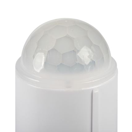 Plafón FOGLER LED con sensor de movimiento y sensor crepuscular 12W/230V Ø 28 cm