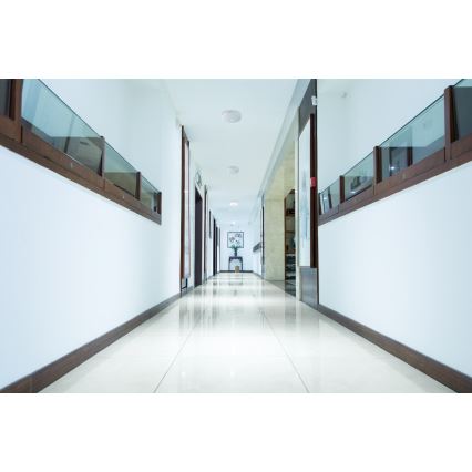 Lámpara de techo LED con sensor de movimiento y de crepúsculo FOGLER LED/17W/230V Ø 33 cm