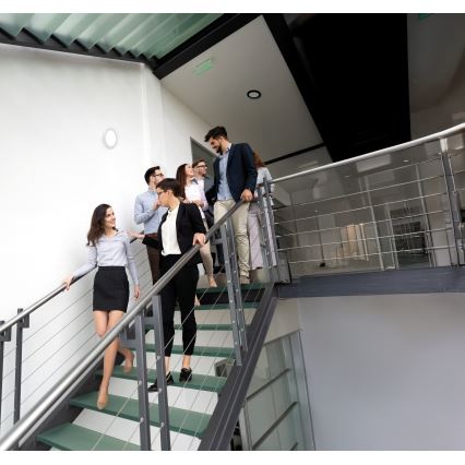 Luminaria LED de techo/empotrable 2 en 1 ERGA LED/17W/230V 3000/4000/6500K negra