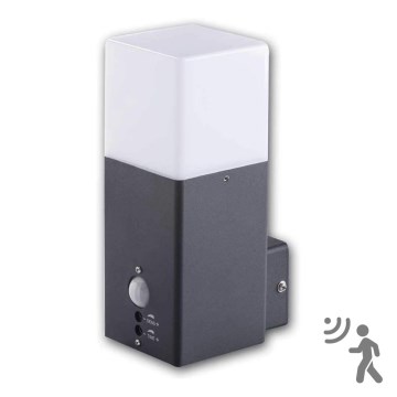 Kanlux 29011 - Aplique exterior con sensor VADRA 1xE27/11W/230V IP44