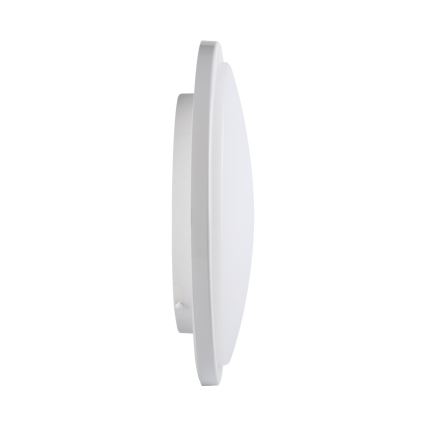 Plafón LED para baños ORTE LED/24W/230V IP54
