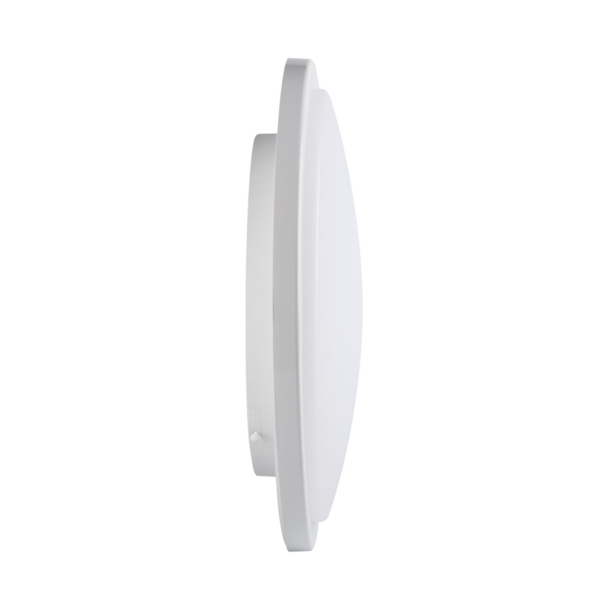 Plafón LED para baños ORTE LED/24W/230V IP54