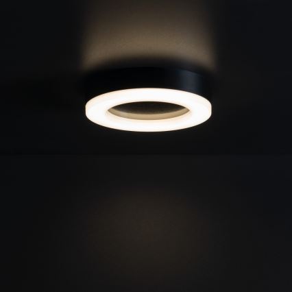 Plafón LED de exterior TURA LED/15W/230V 4000K IP54 negro