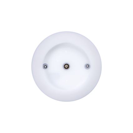 Plafón LED de exterior TURA LED/15W/230V 4000K IP54 negro