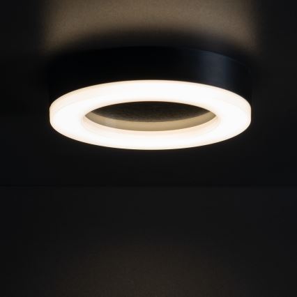 Plafón LED de exterior TURA LED/24W/230V 4000K IP65 negro