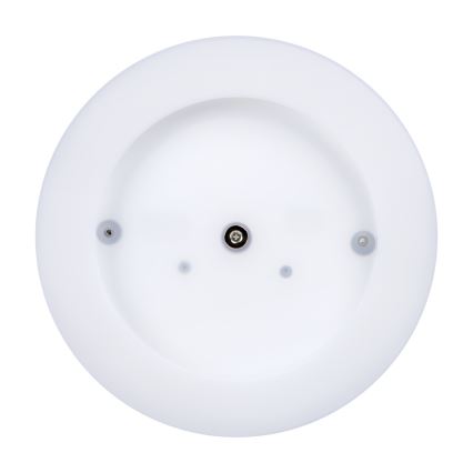 Plafón LED de exterior TURA LED/24W/230V 4000K IP65 negro