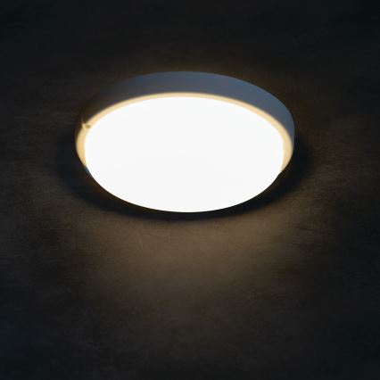 Plafón LED de baño TOLU LED/9W/230V 4000K IP54 blanco