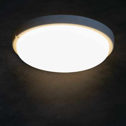 Plafón LED de baño TOLU LED/18W/230V 4000K IP54 blanco