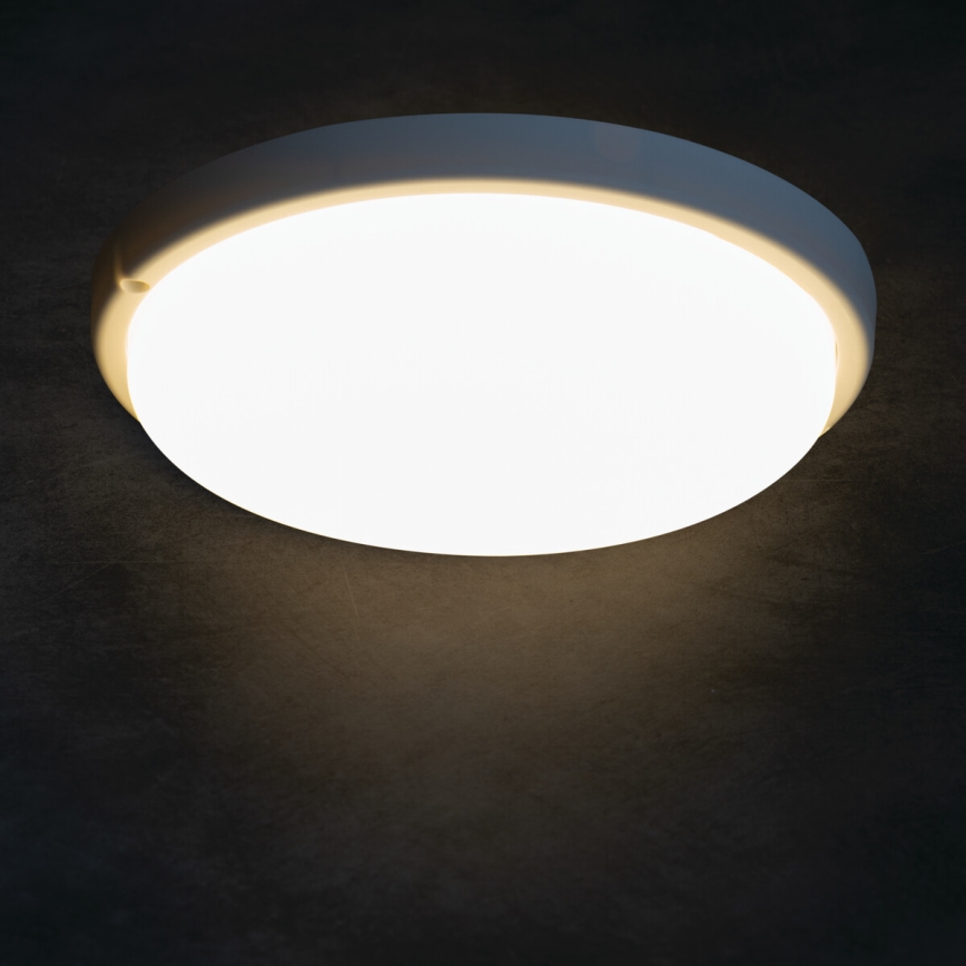 Plafón LED de baño TOLU LED/18W/230V 4000K IP54 blanco