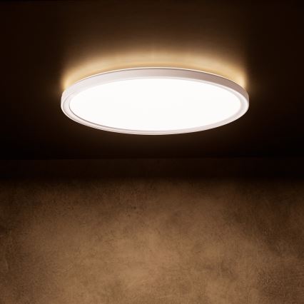 Plafón LED AZPO, 22W/230V, 3000/4000/6000K, Ø 42 cm, IP54, blanco