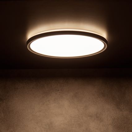 Lámpara de techo LED AZPO LED/22W/230V 3000/4000/6000K Ø 42 cm IP54 negra