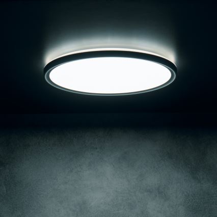 Lámpara de techo LED AZPO LED/22W/230V 3000/4000/6000K Ø 42 cm IP54 negra