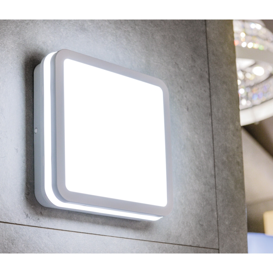 Luminaria exterior LED BENO LED/18W/230V 4000K blanco IP54