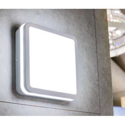 Plafón LED de exterior con sensor BENO LED/24W/230V 4000K blanco IP54