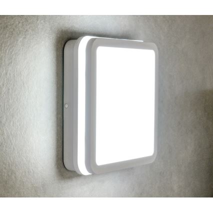 Plafón LED de exterior con sensor BENO LED/24W/230V 4000K blanco IP54