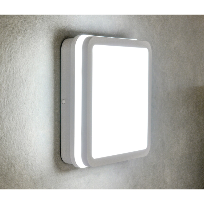 Plafón LED de exterior con sensor BENO LED/24W/230V 4000K blanco IP54