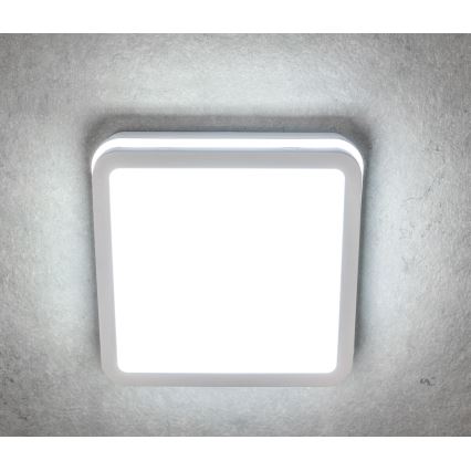Plafón LED de exterior con sensor BENO LED/24W/230V 4000K blanco IP54