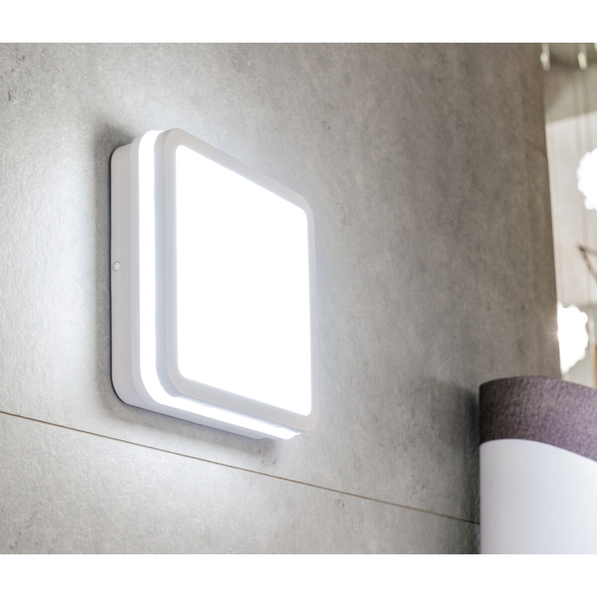 Plafón LED de exterior con sensor BENO LED/24W/230V 4000K blanco IP54