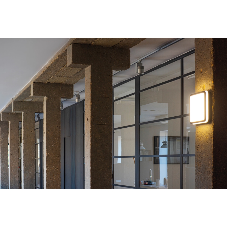 Plafón LED de exterior con sensor BENO LED/24W/230V 4000K antracita IP54