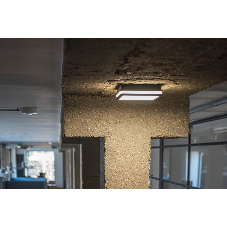 Plafón LED de exterior con sensor BENO LED/24W/230V 4000K antracita IP54