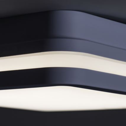 Plafón LED de exterior con sensor BENO LED/24W/230V 4000K antracita IP54