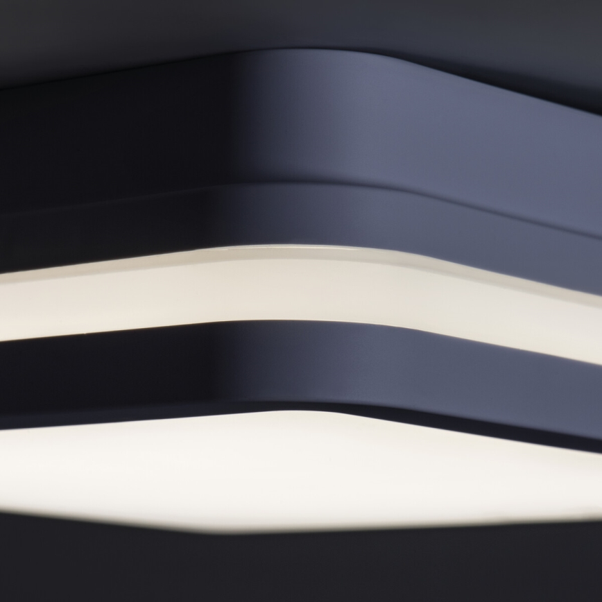 Plafón LED de exterior con sensor BENO LED/24W/230V 4000K antracita IP54
