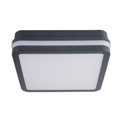 Plafón LED de exterior con sensor BENO LED/24W/230V 4000K antracita IP54