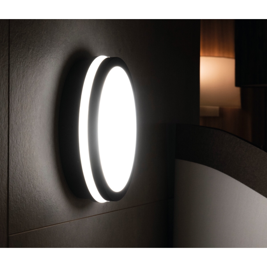 LED Plafón exterior BENO LED/18W/230V 4000K antracita IP54