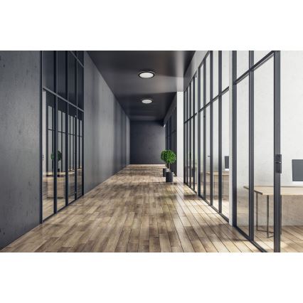 Plafón LED de exterior BENO ECO LED/12W/230V 3000/4000/6500K diá. 20 cm IP65 negro