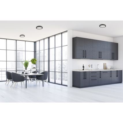 Plafón LED de exterior BENO ECO LED/12W/230V 3000/4000/6500K diá. 20 cm IP65 negro