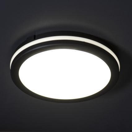 Plafón LED de exterior BENO ECO LED/12W/230V 3000/4000/6500K diá. 20 cm IP65 negro
