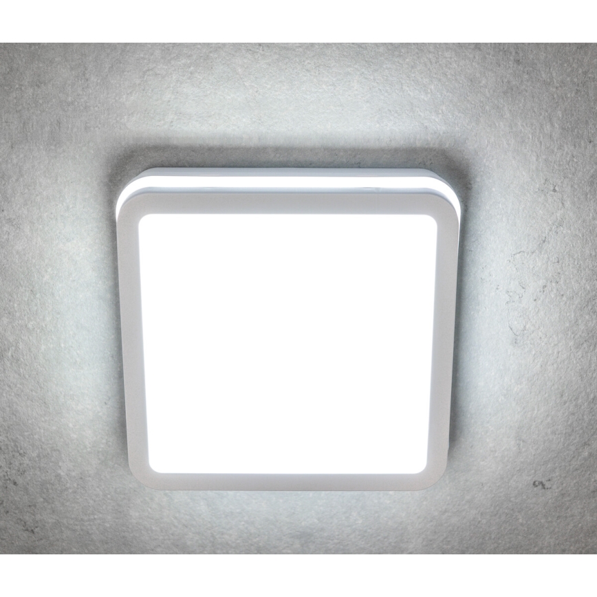 Plafón LED de exterior BENO LED/12/18W/230V 3000/3500/4000K IP65 blanco cuadrado