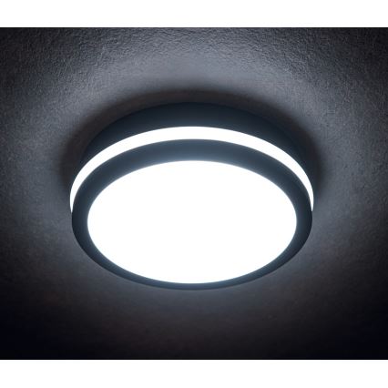 Plafón LED de exterior BENO LED/12/18W/230V 3000/3500/4000K IP65 antracita redondeado