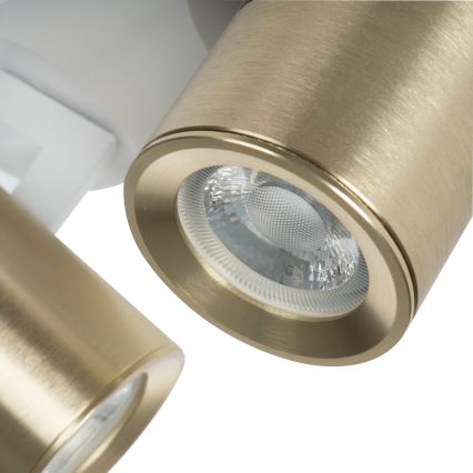 Foco LAURIN 3xGU10/10W/230V latón/blanco