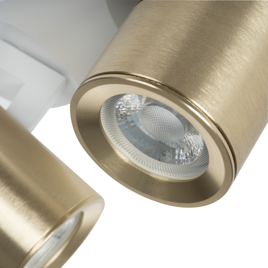 Foco LAURIN 3xGU10/10W/230V latón/blanco