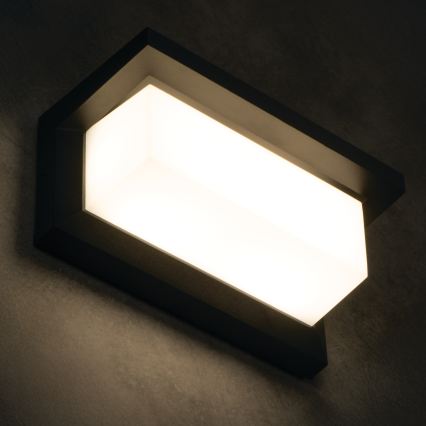 Aplique de pared exterior LED LERTO LED/12W/230V IP54 negro