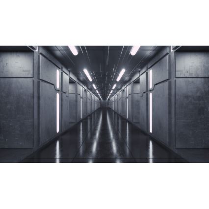 Plafón LED LINCEA LED/30/38/45W/230V 3000/4000/6500K IK08 IP40