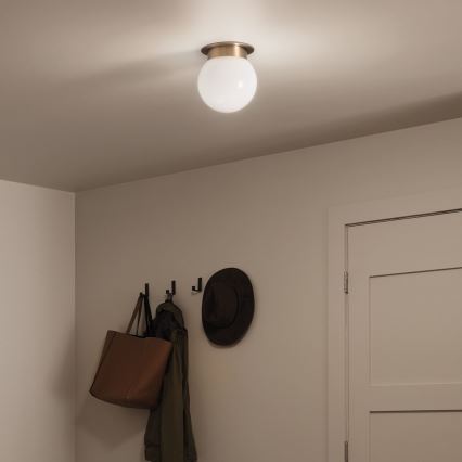 Kichler KL-ALBERS-F-G-CPZ Lámpara de techo ALBERS 1xE27/40W/230V Ø20,3 cm dorada