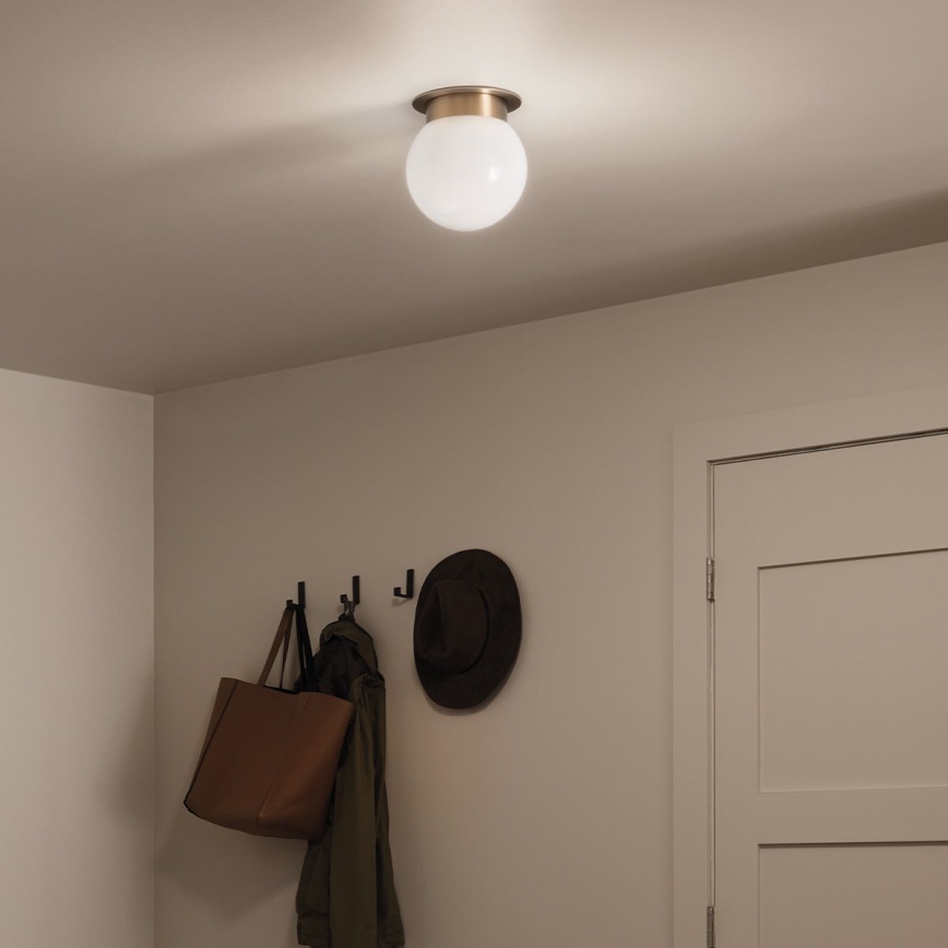 Kichler KL-ALBERS-F-G-CPZ Lámpara de techo ALBERS 1xE27/40W/230V Ø20,3 cm dorada