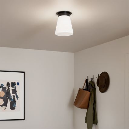 Kichler - Lámpara de techo ALBERS 1xE27/40W/230V diámetro 21,6 cm negra