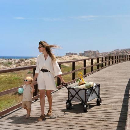 KINDERKRAFT - Carro plegable de transporte WAGON ROLLSTER gris