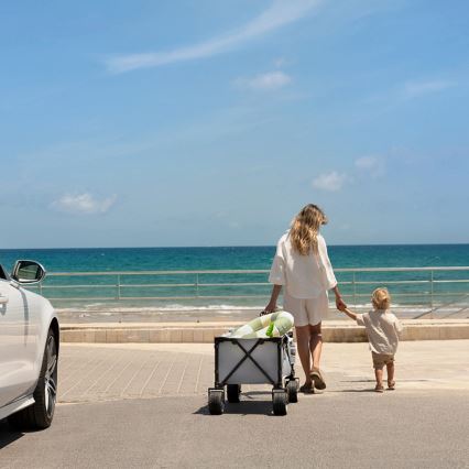 KINDERKRAFT - Carro plegable de transporte WAGON ROLLSTER gris