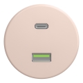 Kliklap - Retro toma USB A+C sin marco, rosa empolvado