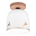 KolarzA1352.11.Au.100 - Lámpara de techo NONNA 1xE27/60W/230V ciervo roble/blanco/dorado