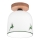 KolarzA1352.11.G.100 - Lámpara de techo NONNA 1xE27/60W/230V ciervo roble/blanco/Verde