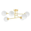 Lámpara colgante 6xE27/35W/230V diá. 80 cm dorado