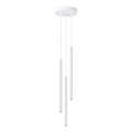 Lámpara colgante ARCHE 3xG9/8W/230V blanco
