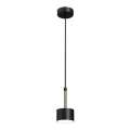 Lámpara colgante ARENA 1xGX53/11W/230V negro/dorado