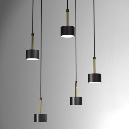 Lámpara colgante ARENA 5xGX53/11W/230V negro/dorado
