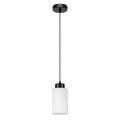 Lámpara colgante BOSCO con cable 1xE27/60W/230V